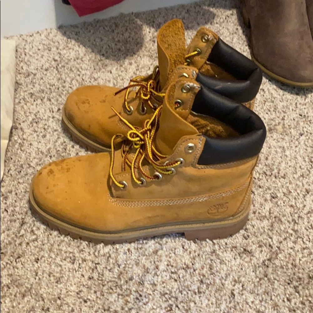 Timberlands - Picture 3 of 6